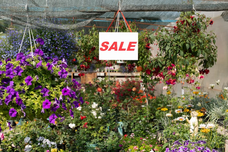 This is a great time of the year to pick up bargains in gardening shops.