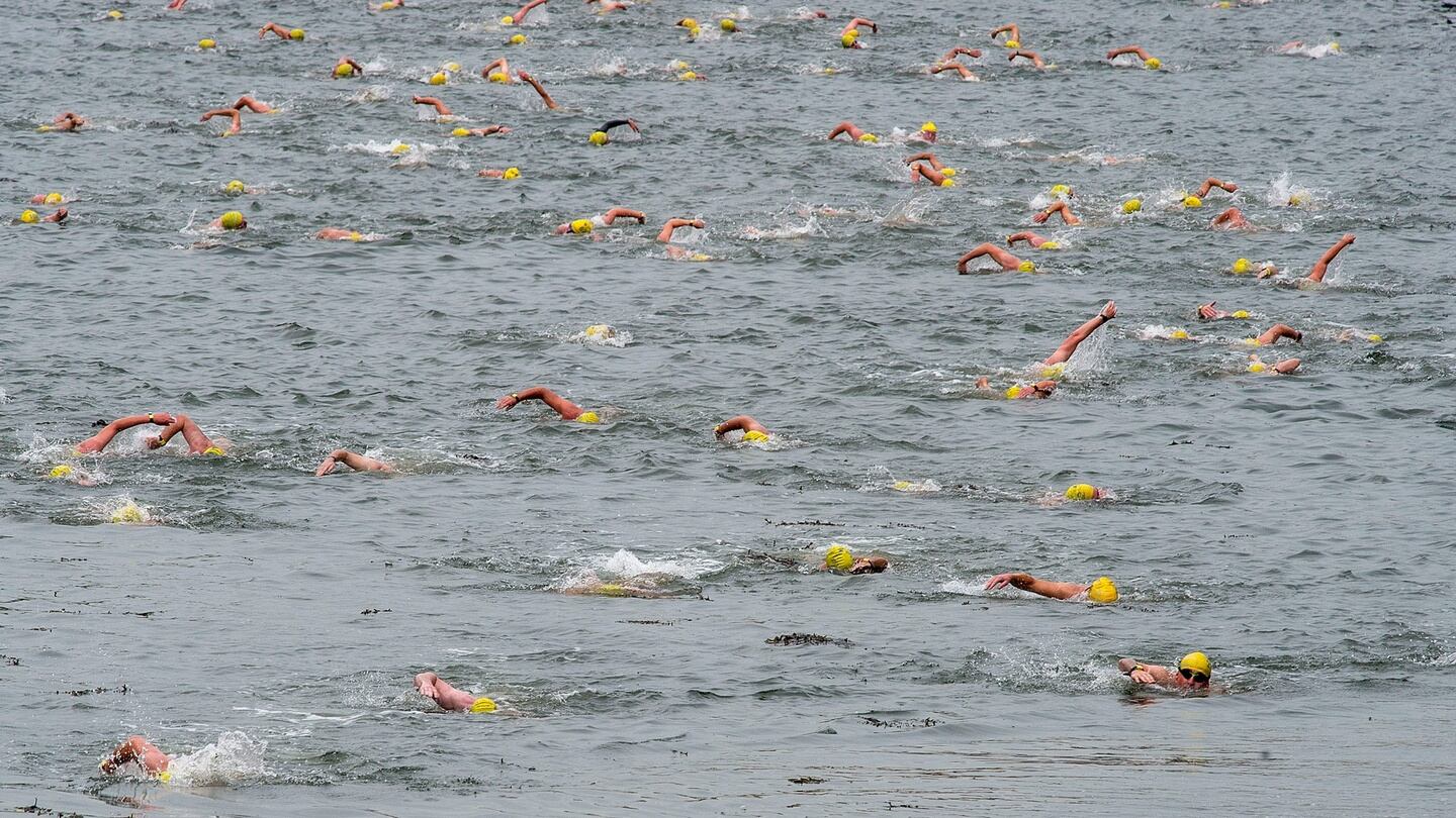 The 100th Liffey Swim attracted around 600 swimmers. Photograph: Dave Meehan/The Irish Times