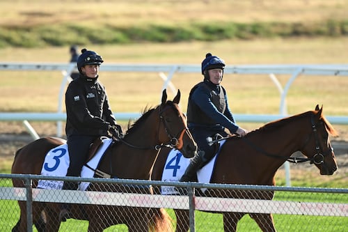 Willie Mullins aiming for landmark Caulfield Cup success with Absurde