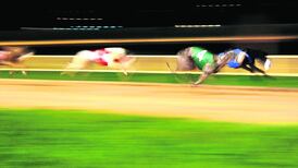 China greyhound exports stopped as airlines will not take them - Minister