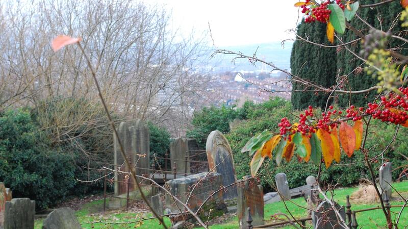 The Knock burial ground in Belfast. Photograph: Belfast City Council