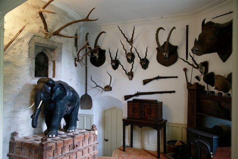 Huntington Castle: the trophy room. Photograph: Nick Bradshaw
