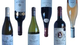 John Wilson: My Christmas picks from SuperValu’s wine range