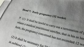 What would replace the Eighth Amendment: The text, the law, the politics