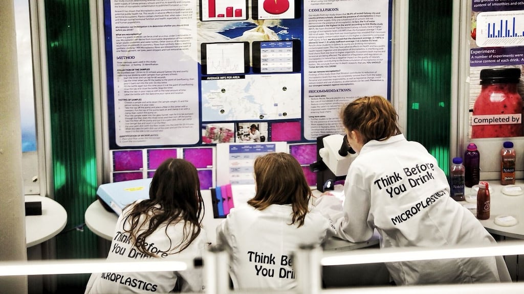 Participants at the 2019 BT Young Scientist & Technology Exhibition at the RDS review their work
