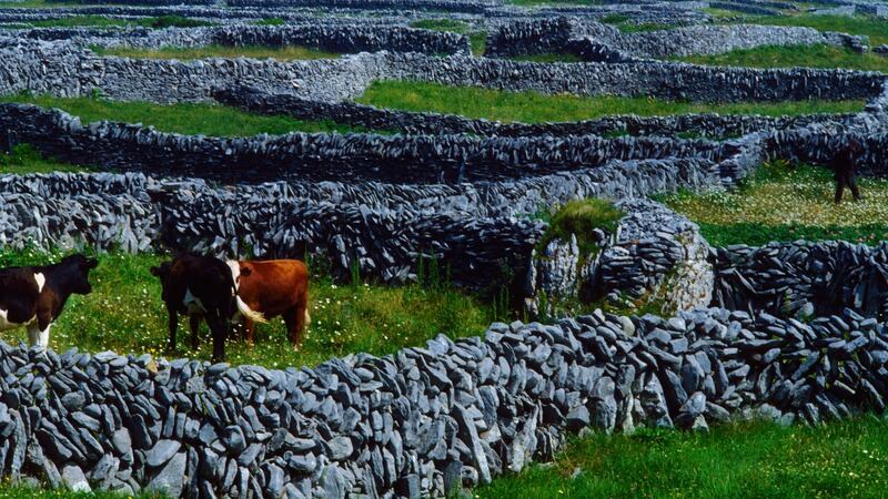 Stone walls on Inis Meáin