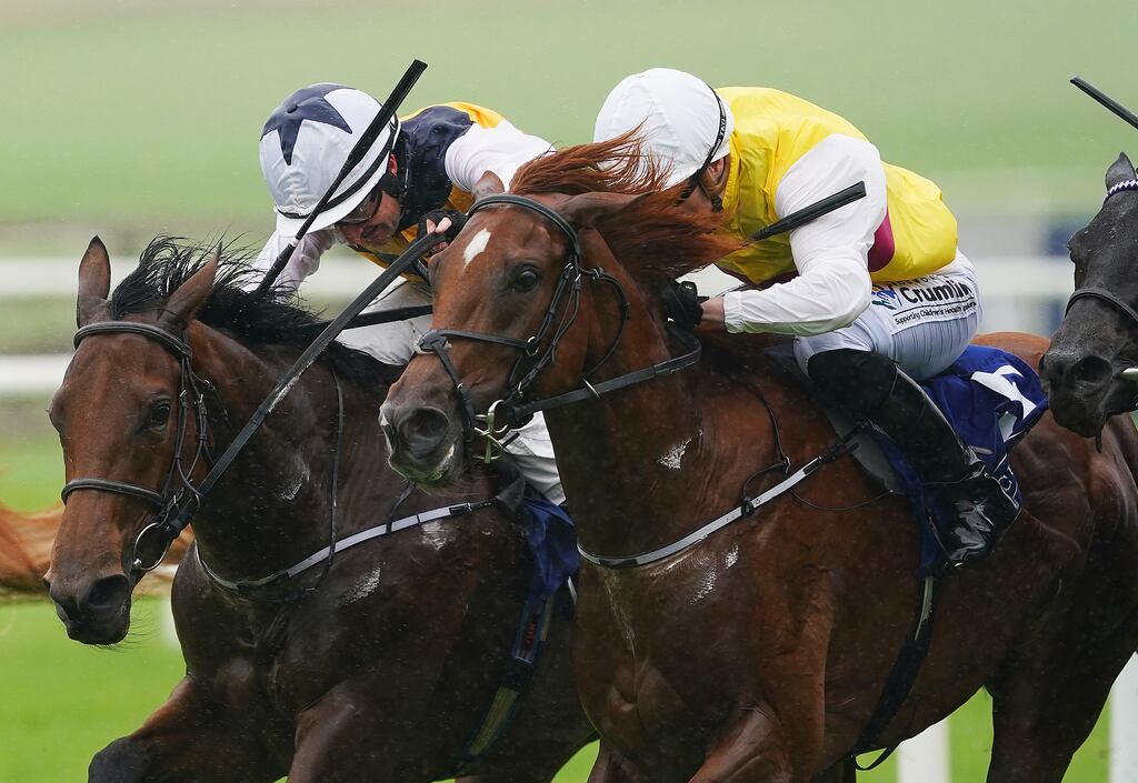 Racing figures fear a proposed pre-watershed ban on betting adverts could damage racetrack revenues and horse ownership. File photograph: PA