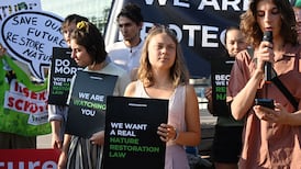 Failure to ratify EU nature restoration law could have far-reaching impacts, Eamon Ryan warns