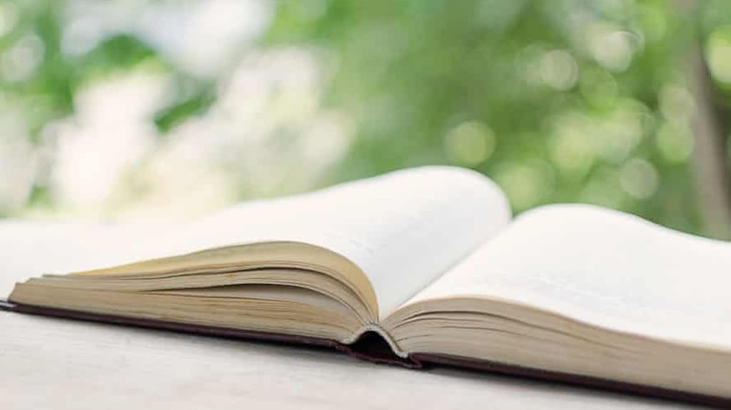 In the Republic, one in six adults are at level one of a five-level literacy scale, and this is likely to lead to lower income and poorer health.