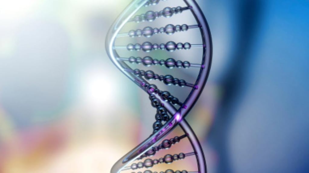 Children conceived after mitochondrial donation would have “nuclear” DNA determining individual traits such as facial features and personality from its two parents, plus a tiny amount of mitochondrial DNA (mDNA) from an anonymous woman donor. Photograph: Getty Images