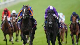Auguste Rodin bid for  Epsom-Curragh double ‘very possible’ in boost to Irish Derby