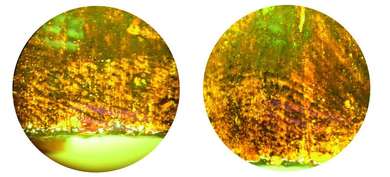 Study of the Head of a Young Man: the fingerprints found on the painting showed it was made with a technique open to only the most skilled of painters