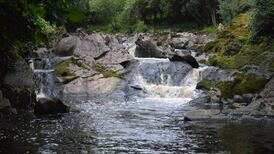 Nature diary: Inishowen Rivers Trust and a water quality and heritage workshop