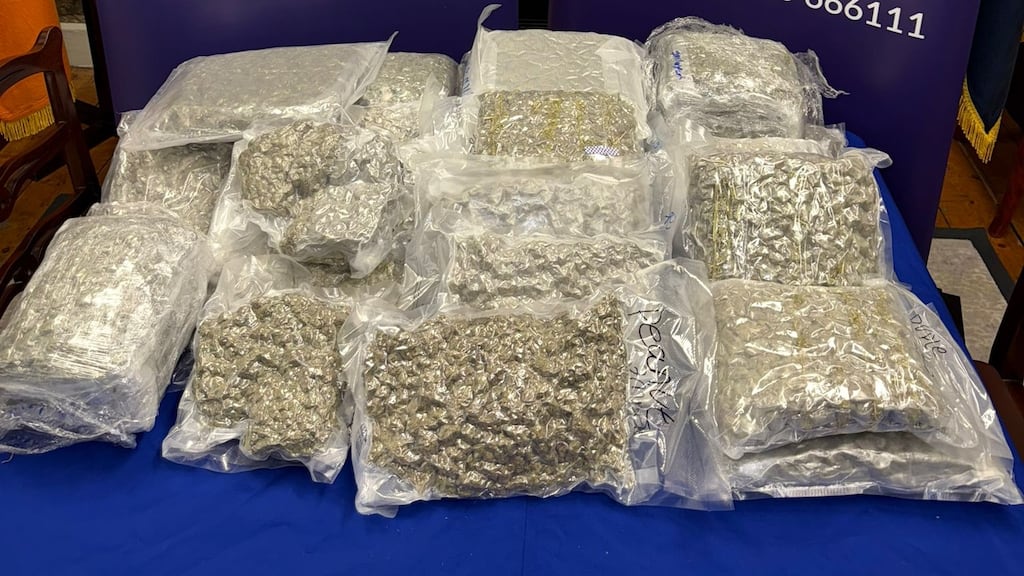 Gardaí seized 40 vacuum-sealed bags of cannabis herb, each weighing approximately 500g, with a combined total of 20kg and a street value of €400,000. Photograph: Garda Press Office