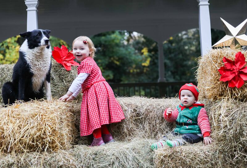Stanley Griffiths (11 months), Mary Jane O’Connell (two), and Bob the Border Collie in Stephen’s Green at the launch of the Live Animal Crib.  Photograph: Sasko Lazarov/Photocall Ireland