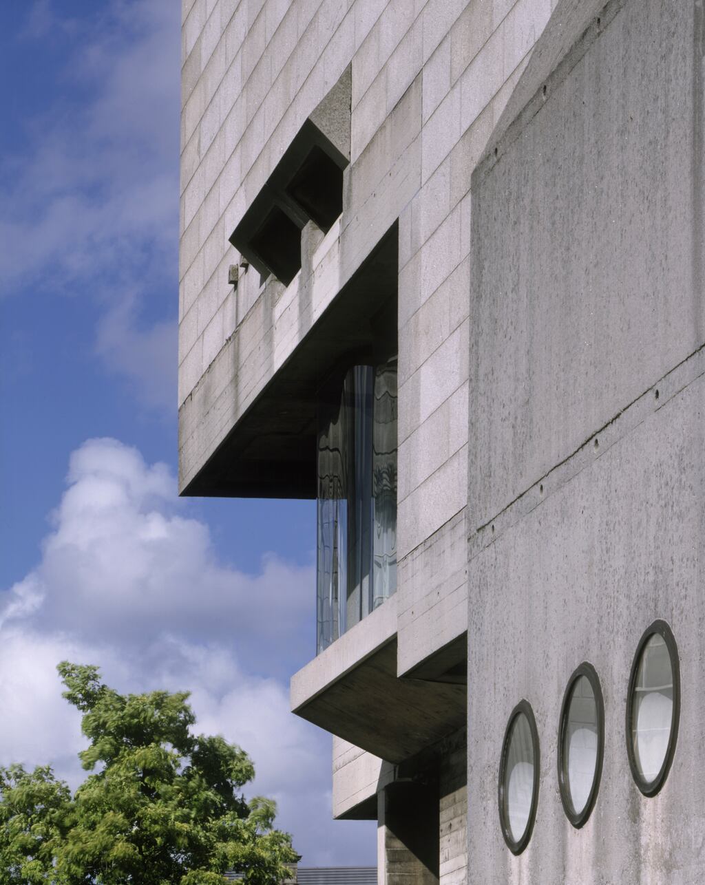The Berkeley Library at Trinity College Dublin. Photograph: Getty Images