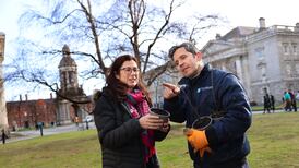 Trinity College uncovers 100 baby birch trees during no-mow May: ‘It’s a happy accident’