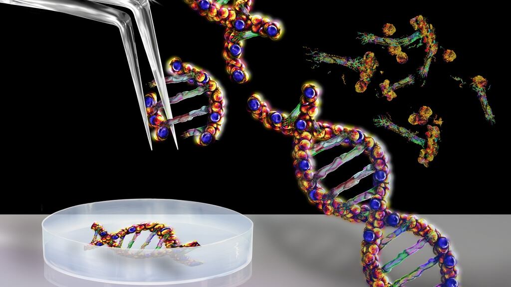 Researchers are using the gene-editing tool Crispr to turn bacterium’s machinery against itself, or against viruses that infect human cells.