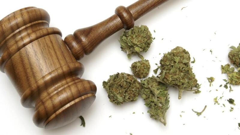 “Medical use of cannabis is legal for licensed users in California and 23 other states. Instead of full legalisation, we have the world’s loosest medical licensing.” Photograph: Thinkstock