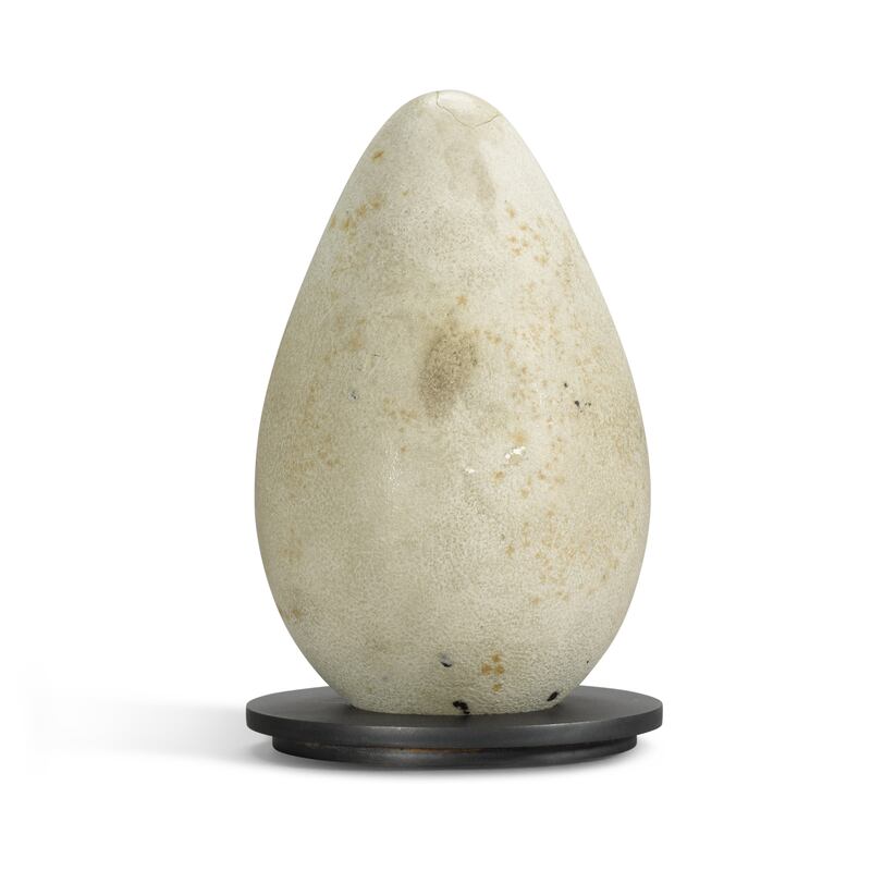 Great Auk egg, of which only four remain in private collections.
