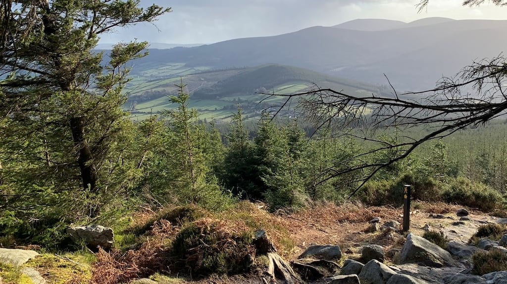 Views along the Wicklow Way walk.