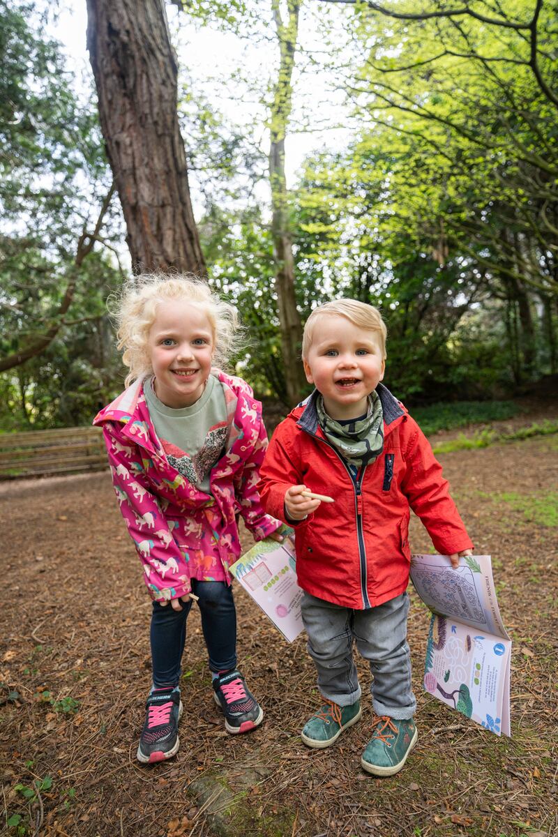 Friends of the Forest Trail at Avoca Kilmacanogue