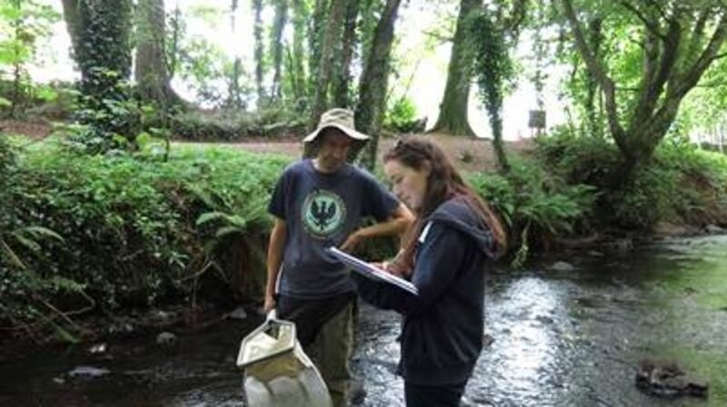 Checking water quality for the upcoming management course in Co Longford.