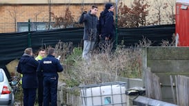 Woman believed to be behind Traveller gun attack