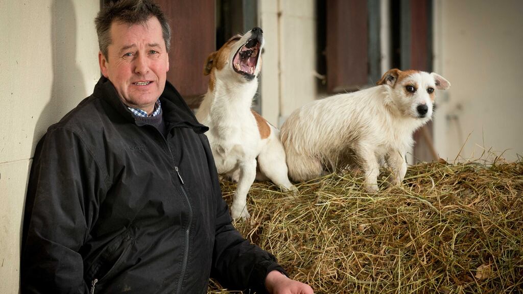 Trainer Pat Fahy: he initially reported he would consider an appeal after consulting with Frank Berry, racing manager to Shantou Ed’s owner JP McManus, and a day later did not rule it out