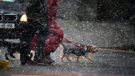 Snow forecast as Met Éireann issues yellow weather alert