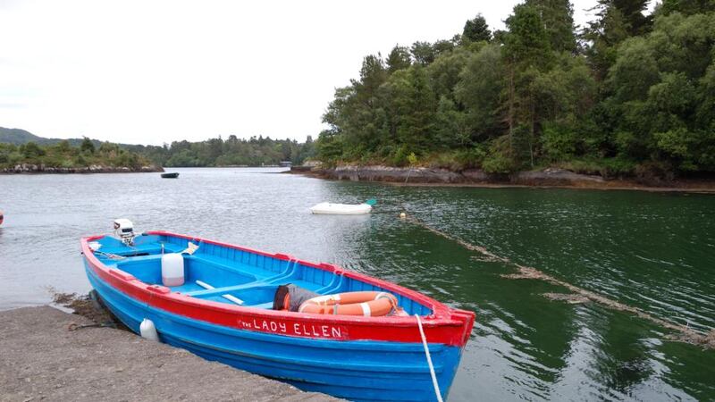 A boat ride around Glengarriff harbour will give another perspective on the area’s beauty and many attractions