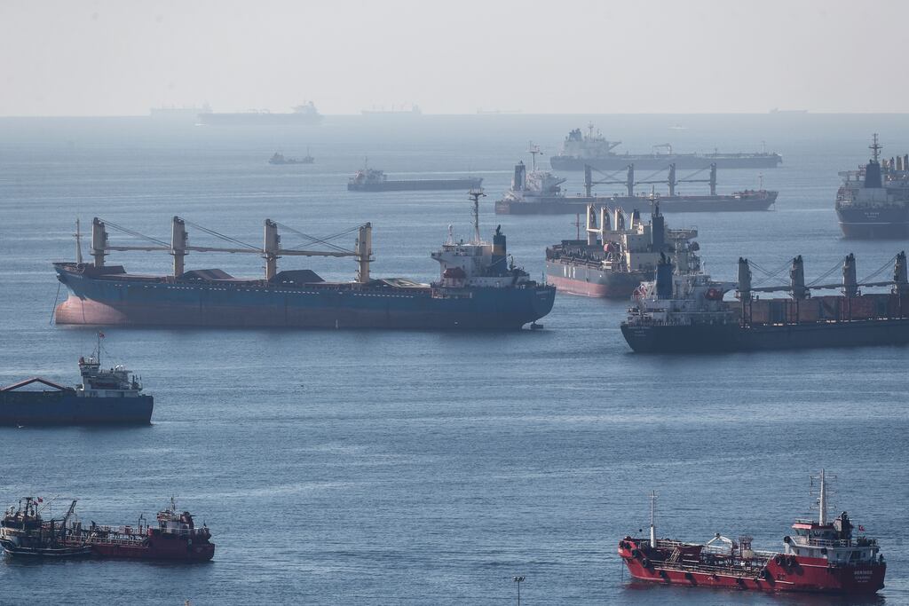 Cargo ships carrying Ukraine grain are anchored as they wait in line for inspection on the Marmara sea, Istanbul. Photograph: Erdem Sahin/EPA