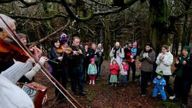 Host of events to celebrate National Tree Week