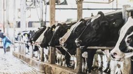 Political support for climate measures linked to scale of public investment