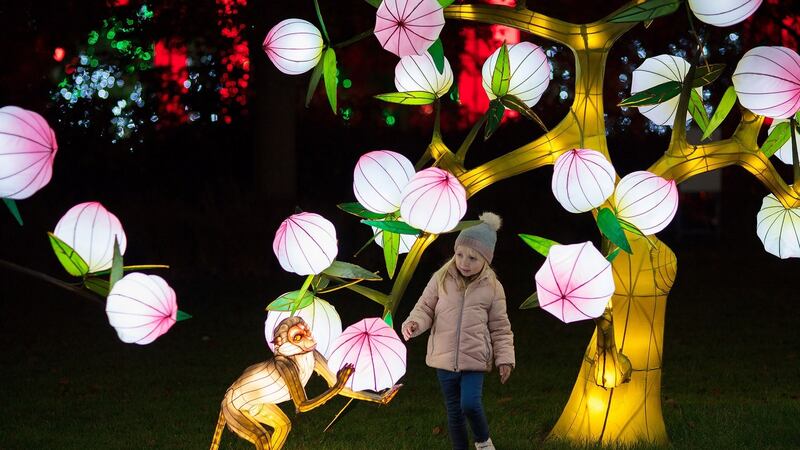Pictured at Wild Lights at Dublin Zoo is Beth Healy. This winter the Zoo is home to a magical night-time event featuring giant colourful lanterns and illuminated sculptures, inspired by wildlife.