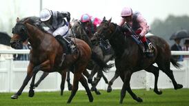 New ‘motivator’ gene found in horses may determine willingness to race