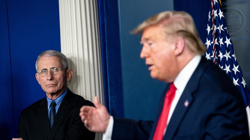 Anthony Fauci, director of the National Institute of Allergy and Infectious Diseases, listens to President Donald Trump speak about coronavirus. Photograph: Erin Schaff/The New York Times