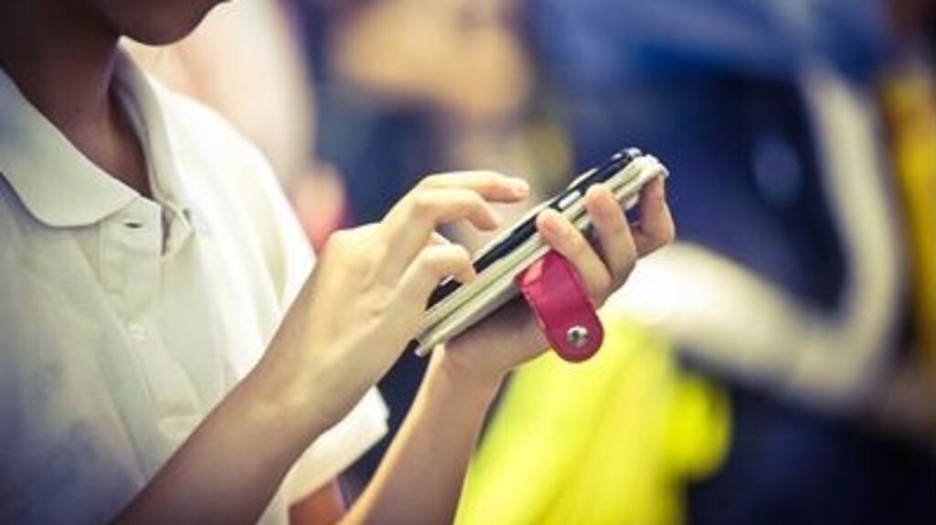 A dedicated phone line and website facility is provided by the department for individuals to submit anonymous reports of suspected abuses by social welfare claimants. File photograph: Getty Images