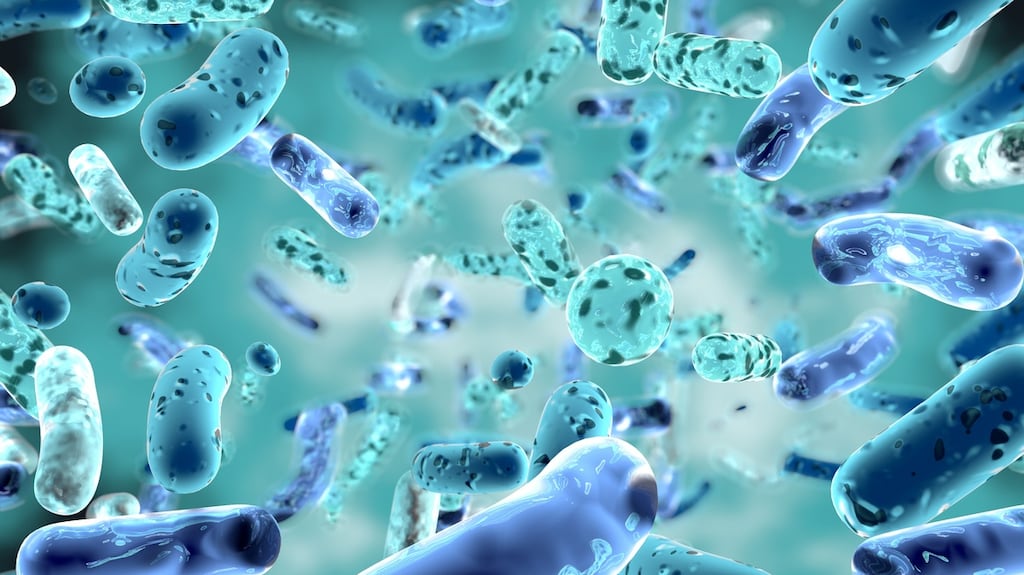 The deal will see the Nasdaq-listed and Copenhagen-based company acquire PrecisionBiotics on a cash and debt-free basis. Photograph: iStock