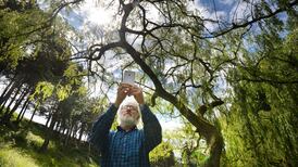 Seek and ye shall (mostly) find the detail of nature’s treasure trove