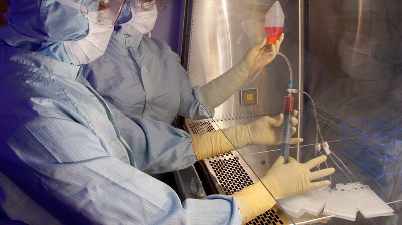 The Centre for Cell Manufacturing (CCMI) at NUI Galway is the first facility on the island of Ireland to receive regulatory authorisation from the Health Products Regulatory Authority to manufacture Advanced Therapy Medicinal Products