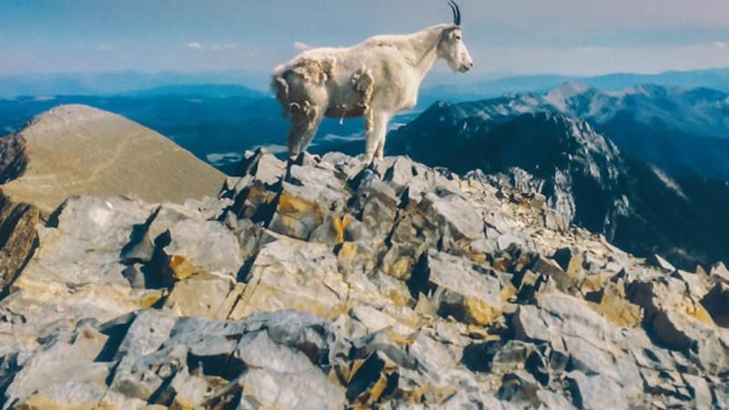 Liima – ii: moments that stick, from Tatu Rönkkö and the Efterklang three