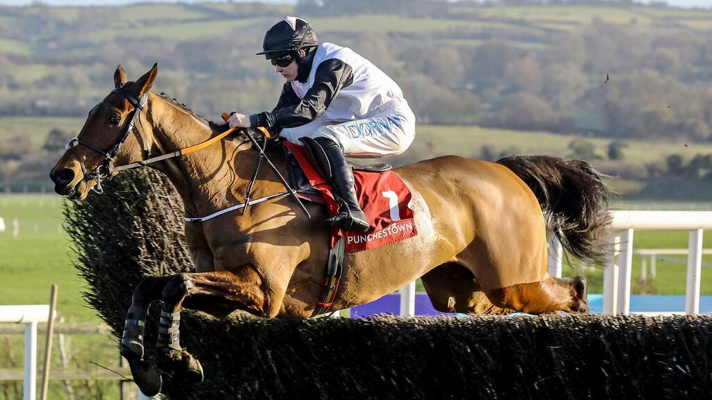 Bob Olinger at Punchestown under Rachael Blackmore. He is a general 8-1 shot to dethrone Flooring Porter as stayers champion at Cheltenham in March. Photograph: Lorraine O’Sullivan/Inpho