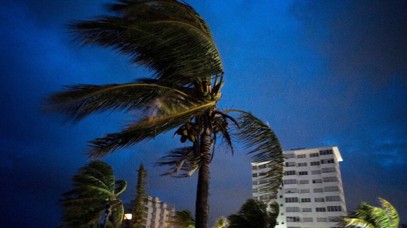 Strong winds move the palms of the palm trees at the first moment of the arrival of Hurricane Dorian in Freeport, Grand Bahama, Bahamas. Photograph: Ramon Espinosa/AP