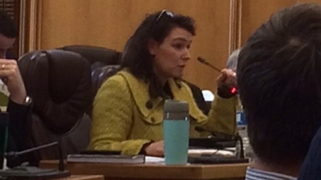 Cllr Aoife Thornton tried to get a chance to raise the issue of poor road conditions at a meeting of Kerry County Council on Monday. Photograph: Anne Lucey