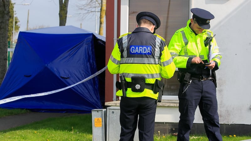 Gardai at the scene of the suspected fatal stabbing incident at Castlecurragh Heath in Mulhuddart, Dublin. Photograph: Gareth Chaney/Collins