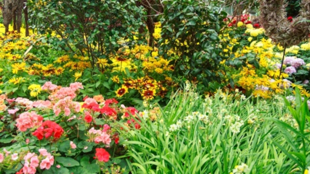 The Movilla Abbey Methodist Flower Festival 2016 takes place from 10am Friday, May 20th to Sunday, May 22nd at 5pm.