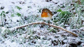 Freezing weather leads to 143 flight cancellations and hazardous driving conditions