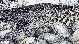 Eye on Nature: The shifting sand, shingle and stones beneath our feet