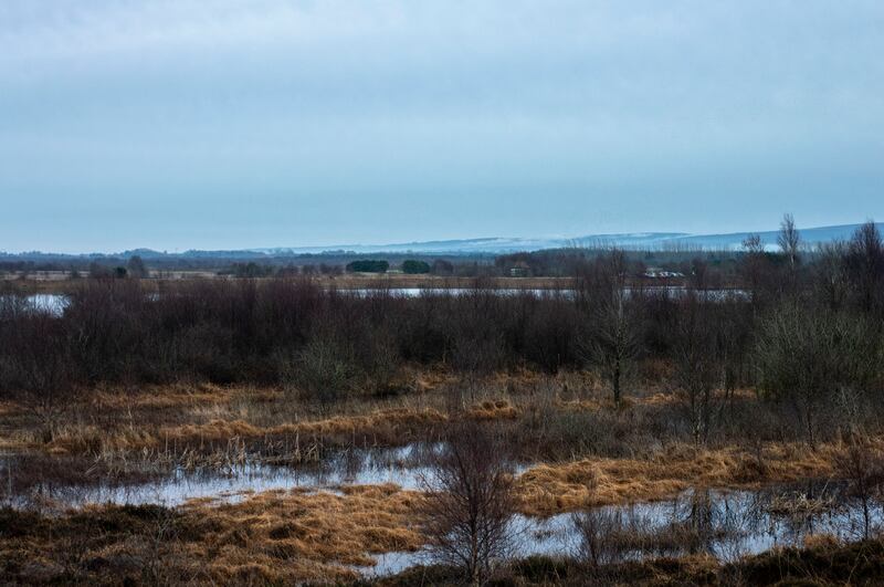 Photograph: Ian Maleney